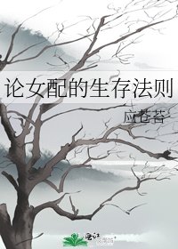 《论女配的生存法则》