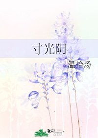 《寸光阴》