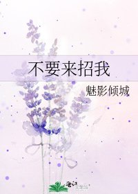 《不要来招我》