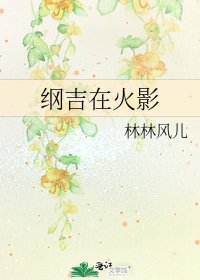 《纲吉在火影》
