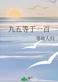 九五等于一百