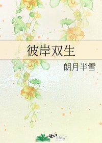 《彼岸双生》