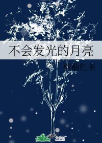 《不会发光的月亮》