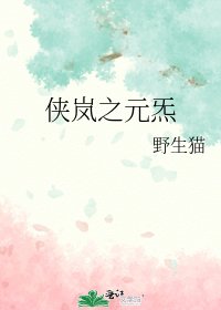 《侠岚之元炁》
