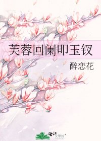 《芙蓉回阑叩玉钗》