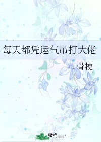 《每天都凭运气吊打大佬》