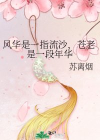 《风华是一指流沙,苍老是一段年华》