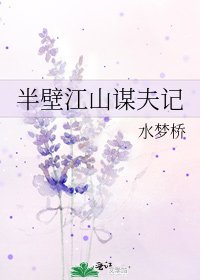 《半壁江山谋夫记》