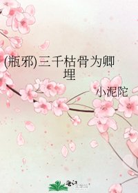 《(瓶邪)三千枯骨为卿埋》
