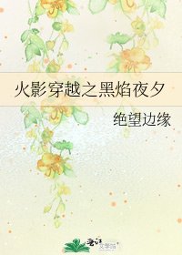 《火影穿越之黑焰夜夕》