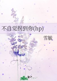 《不自觉拐到你(hp)》