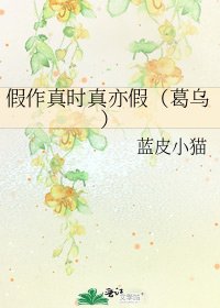 《假作真時真亦假(葛烏)》