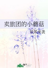 《卖旅团的小蘑菇》