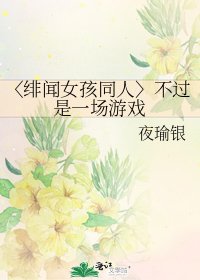 《〈绯闻女孩同人〉不过是一场游戏》