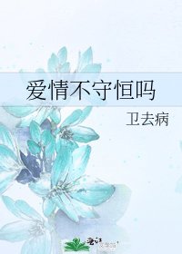 《爱情不守恒吗》