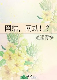 网结，网劫！？