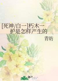 [死神/白一]朽木一护是怎样产生的