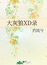 《大灰狼XD录》