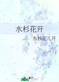 《水杉花开》