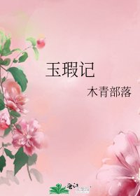 玉瑕记