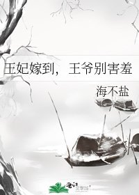 《王妃嫁到,王爷别害羞》