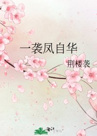 《一袭凤自华》