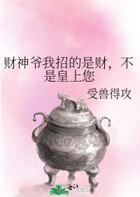 《财神爷我招的是财,不是皇上您》