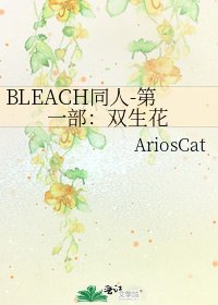《BLEACH同人-第一部:双生花》
