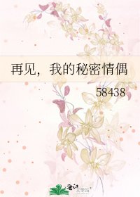《再見,我的秘密情偶》