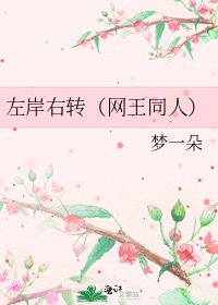 左岸右转（网王同人）