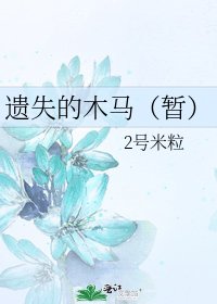 《遗失的木马(暂)》