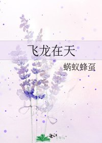 《飞龙在天》