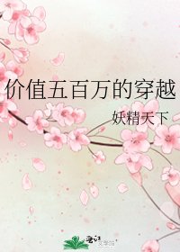 《价值五百万的穿越》