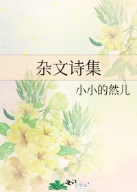 《杂文诗集》