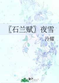 《〖石兰赋〗夜雪》