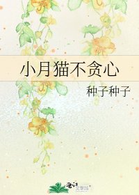 《小月猫不贪心》