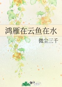 《鸿雁在云鱼在水》