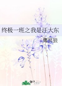 《终极一班之我是汪大东》