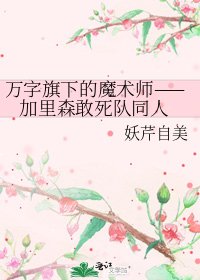 《万字旗下的魔术师—— 加里森敢死队同人》