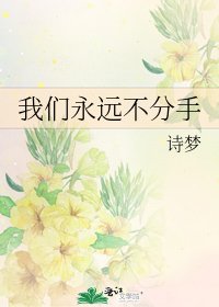 《我们永远不分手》