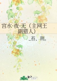 《宫水·夜·无(主网王副猎人)》