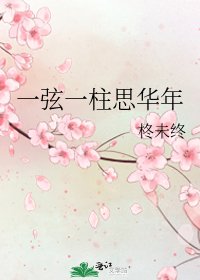《一弦一柱思华年》