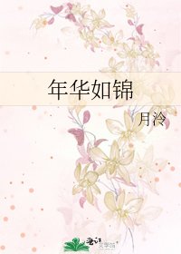《年华如锦》