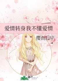 《爱情转身我不懂爱情》