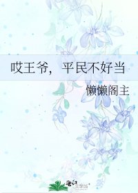 《哎王爷,平民不好当》