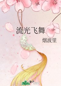 《流光飞舞》