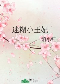 《迷糊小王妃》