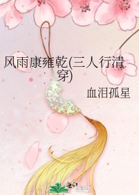 风雨康雍乾(三人行清穿)