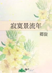 《寂寞景流年》
