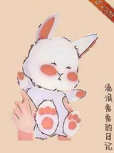 《流浪兔兔的日记》